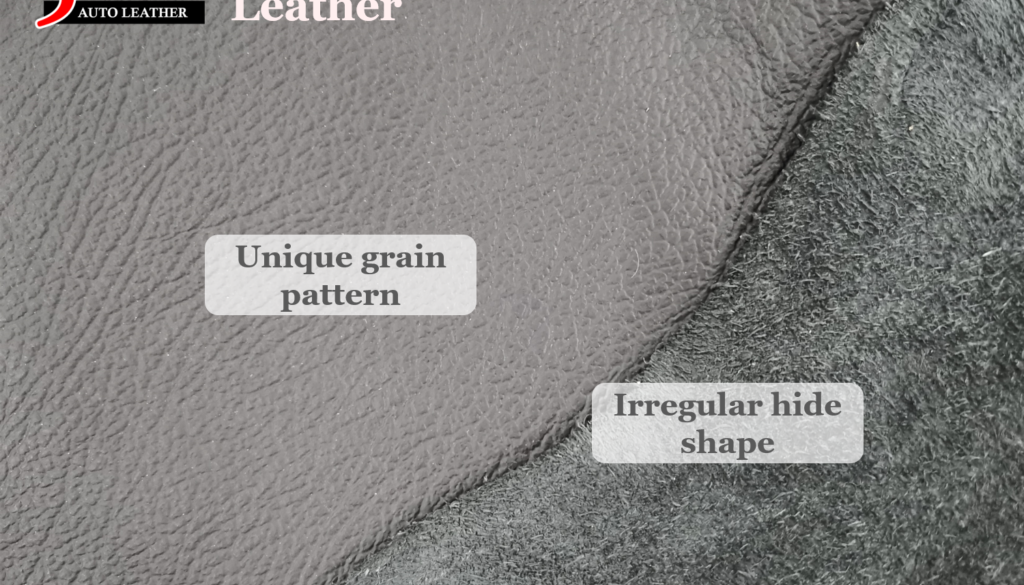 Types of Car Leather - Cowhide